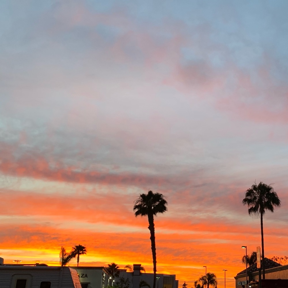 Meet your Posher, Leslie